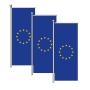 Flag Europe 120x300